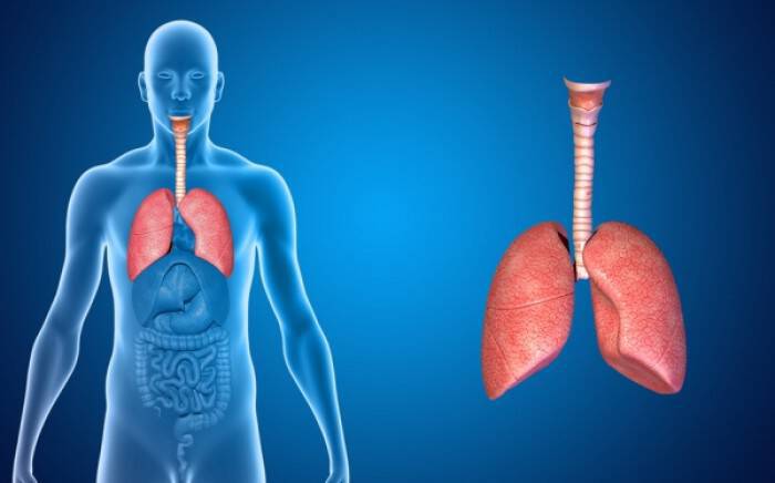 Πνευμονική Ίνωση: Ποιοι κινδυνεύουν περισσότερο από τη σοβαρή ασθένεια των πνευμόνων