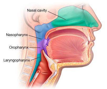Καρκίνος στον λαιμό: Πότε βήχας και πονόλαιμος είναι πρώιμα σημάδια – Προσοχή!