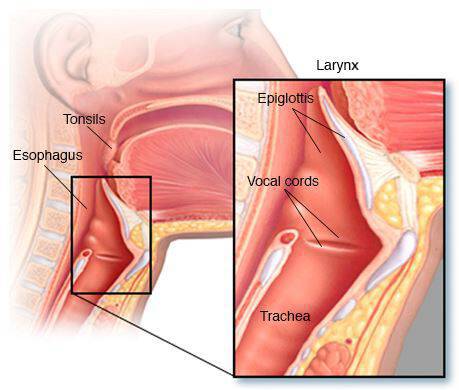 Καρκίνος στον λαιμό: Πότε βήχας και πονόλαιμος είναι πρώιμα σημάδια – Προσοχή!