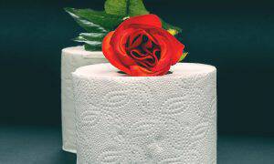 bigstock-White-Toilet-Paper-With-Red-Ro-87470543