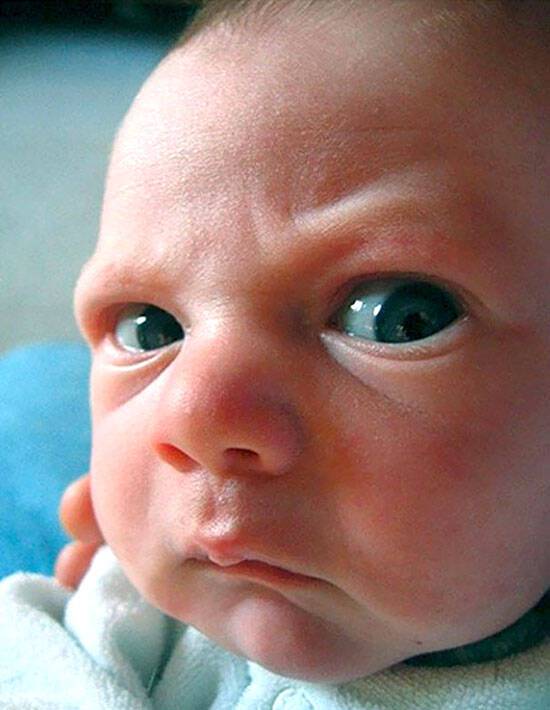 12 απίστευτες φωτογραφίες μωρών που… δεν «μασάνε»!