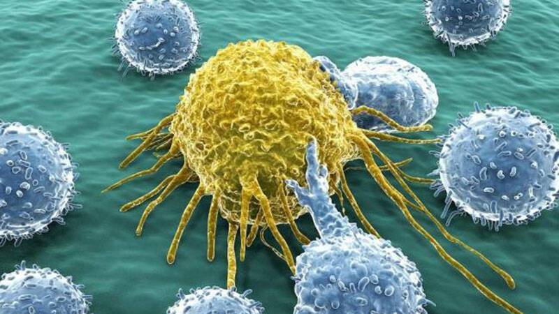 Μελέτη αποκαλύπτει νέα στοιχεία για τον μηχανισμό εξάπλωσης του Καρκίνου