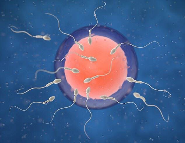 Περιττά κιλά στους άνδρες: Πώς επηρεάζουν την ποιότητα σπέρματος