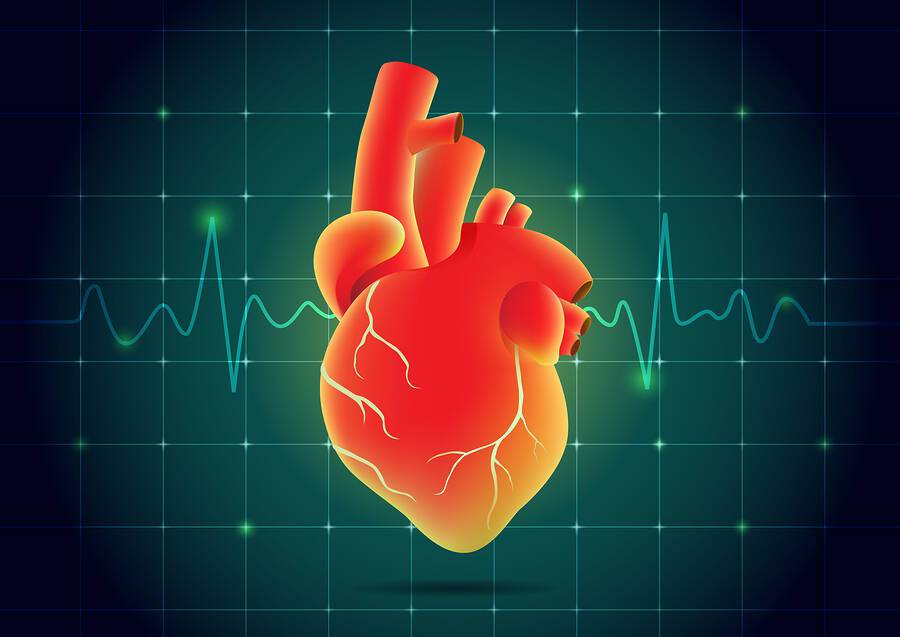 Καρδιακό επεισόδιο: Από ποιο παράγοντα εξαρτάται η επιβίωση