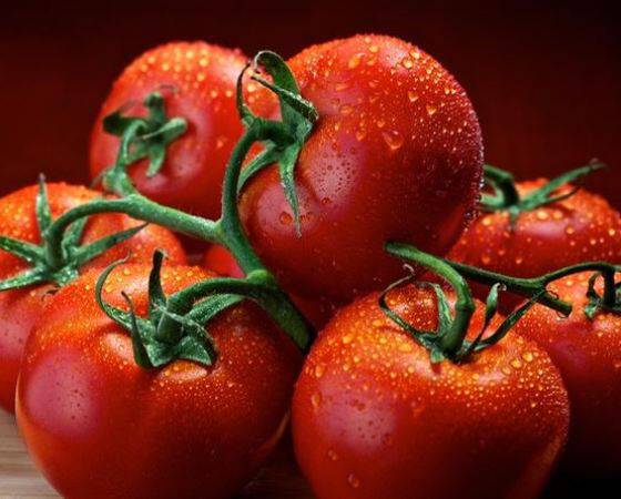 tomato-