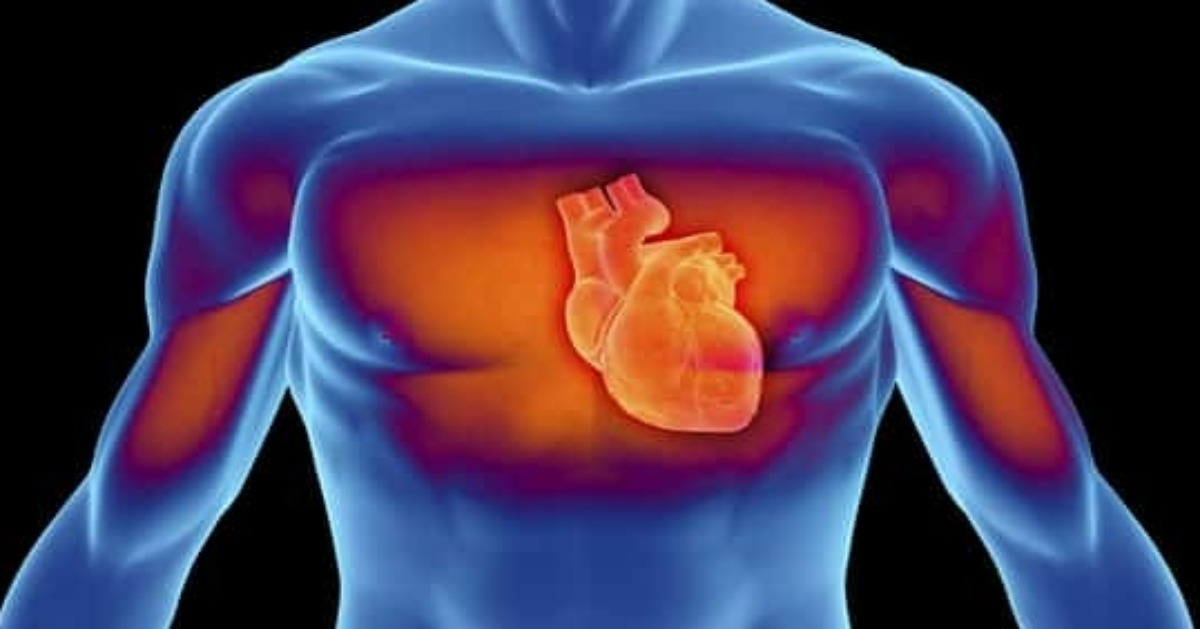 Καρδιαγγειακά: 5 πρώιμες ενδείξεις που πρέπει να σας οδηγήσουν στον καρδιολόγο - Τι πρέπει να γνωρίζετε